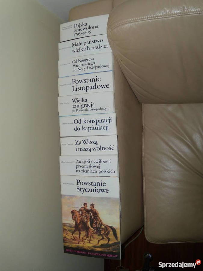 Dzieje narodu i państwa polskiego Warszawa