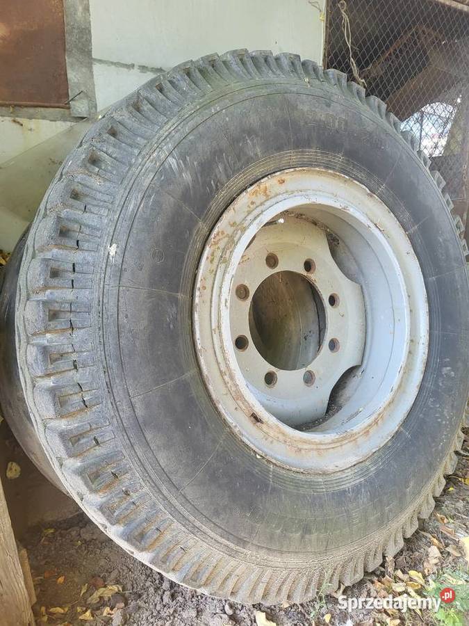 Koło do bizona 23126 Koło 120020 dolnośląskie Legnickie Pole sprzedam