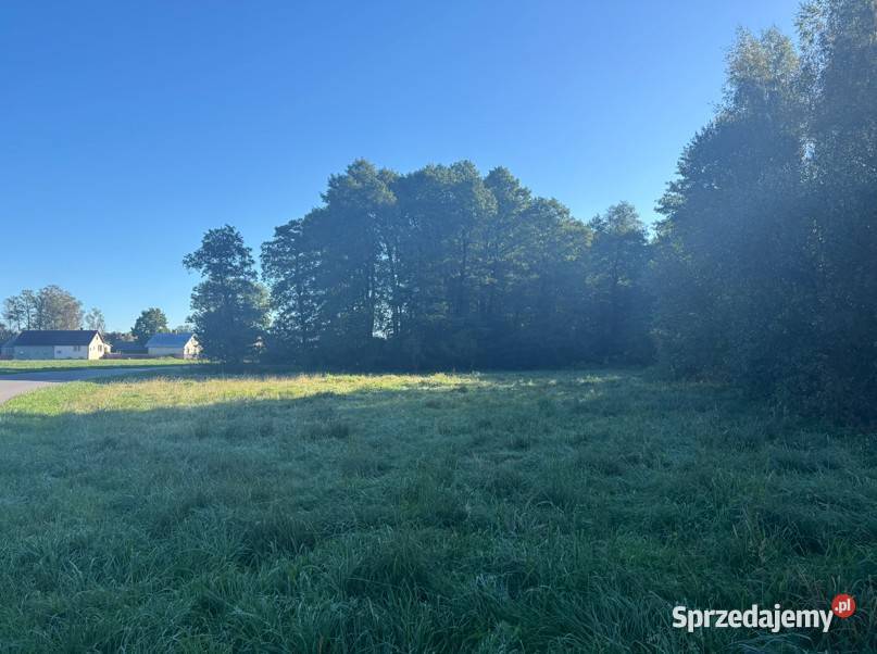 Działka budowlana 2000 m2 w spokojnej okolicy 2000m2 Rogóźnia