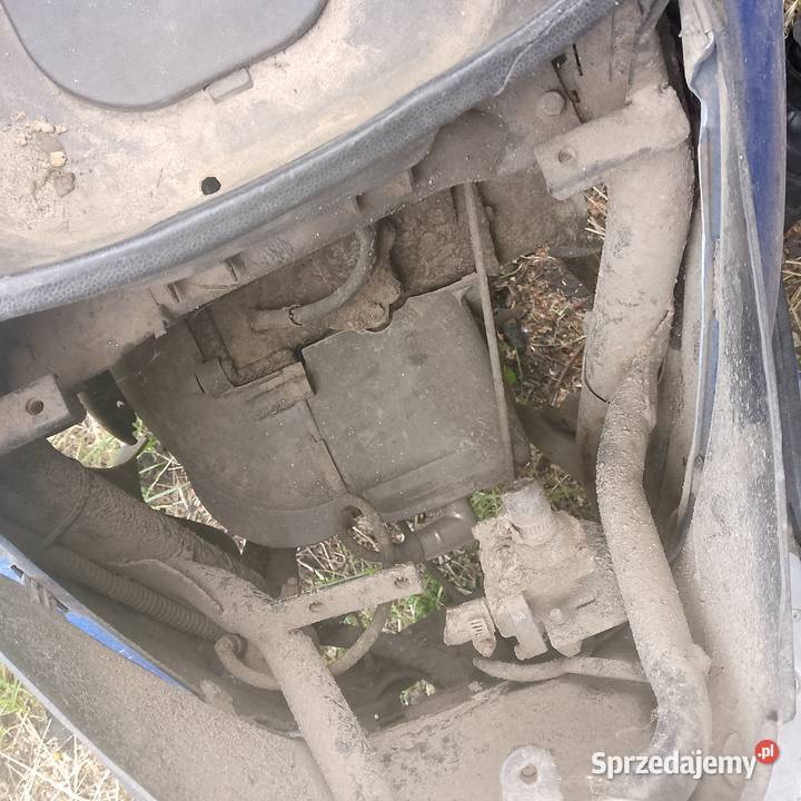 skuter romet komar Międzychód