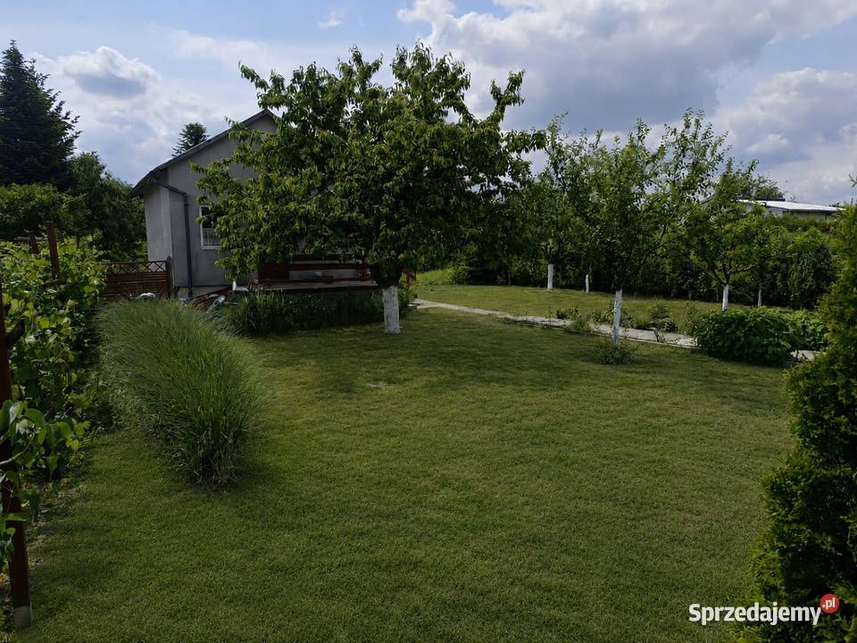 Sprzedam działkę rekreacyjną 5 arów ROD Relaks 196zł/m2 Kulów