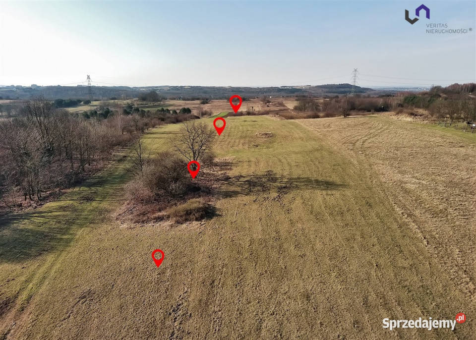 Działka Siemonia Kościuszki 17992m2 Sprzedaż Nieruchomości