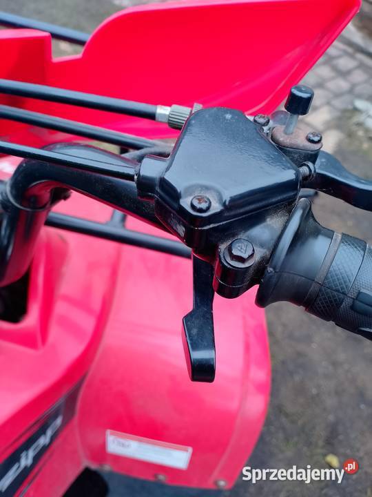 Quad Zipp 125