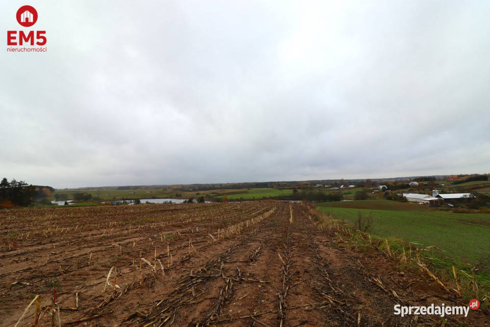 Działka 12000m2 Żegary