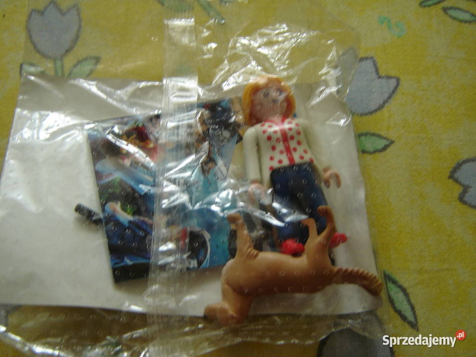 Playmobil Pani z pieskiem Nowy Sącz sprzedam