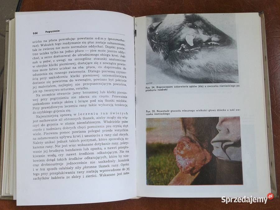 Gdy zachoruje pies książka poradnik Poradniki, albumy i reportaże Poradniki, albumy i reportaże sprzedam