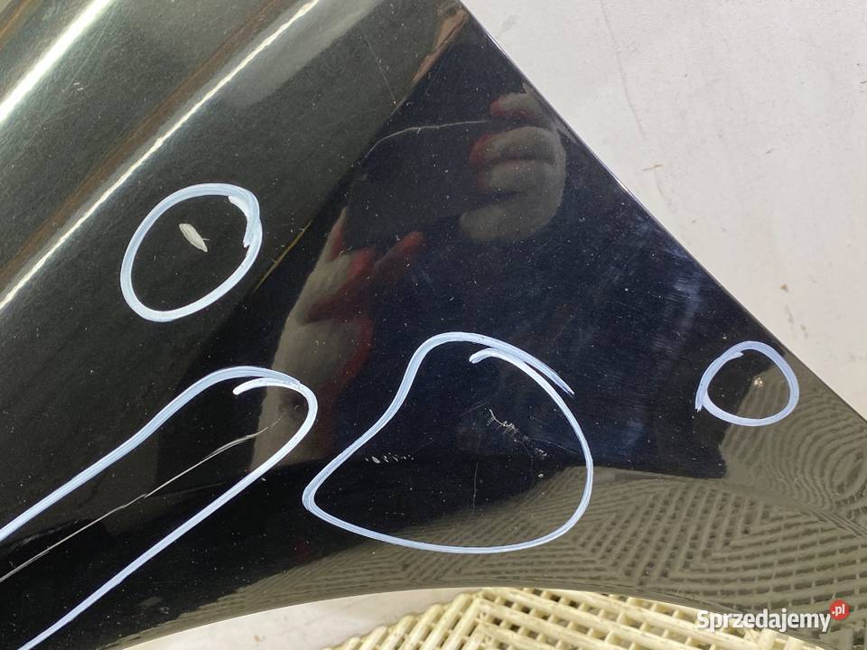 BŁOTNIK LEWY PRZÓD RENAULT LAGUNA III Kombi 0715