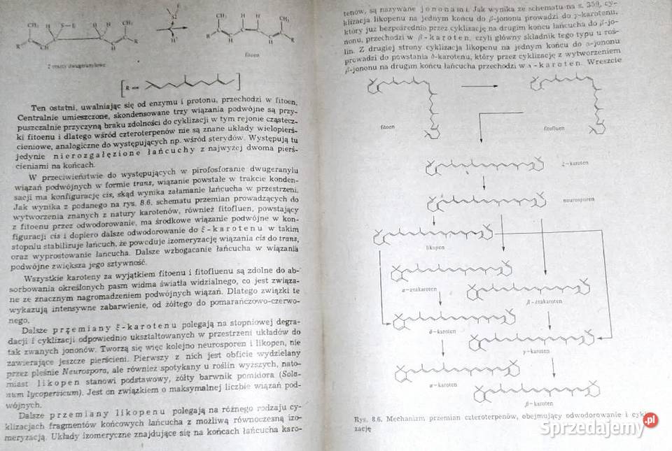 Biochemia roślin Tom 1 Jerzy Kączkowski sprzedam
