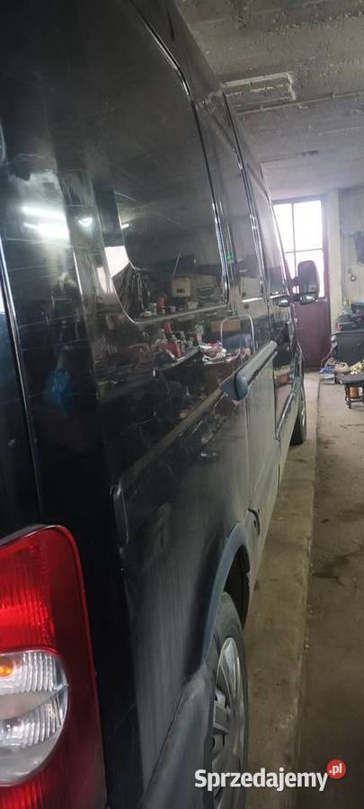 Sprzedam 397000km Konie