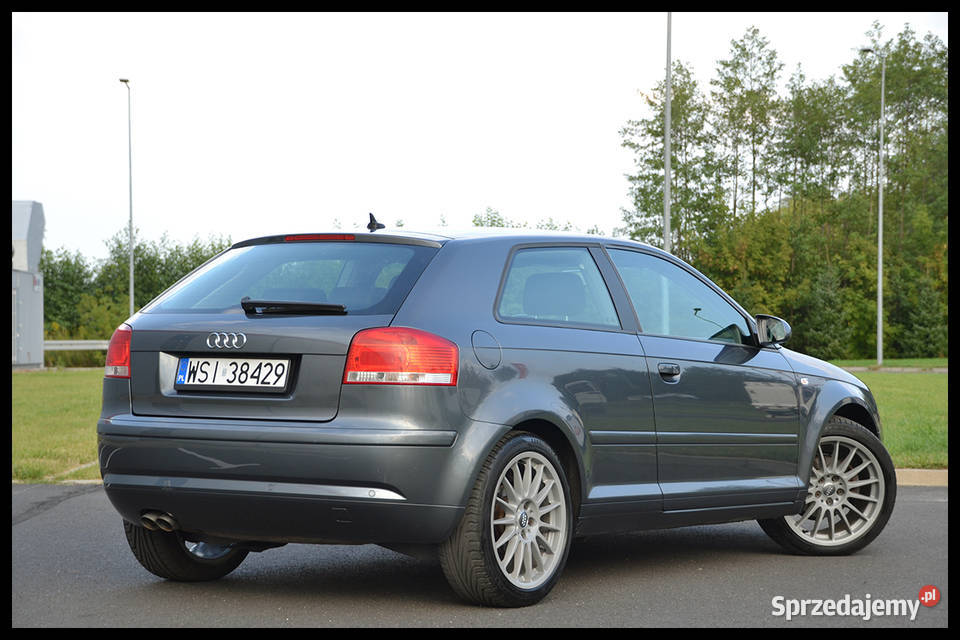 Audi A3 8P 19TDI Automat STRONIC ISOFIX Alufelgi welurowa tapicerka Siedlce