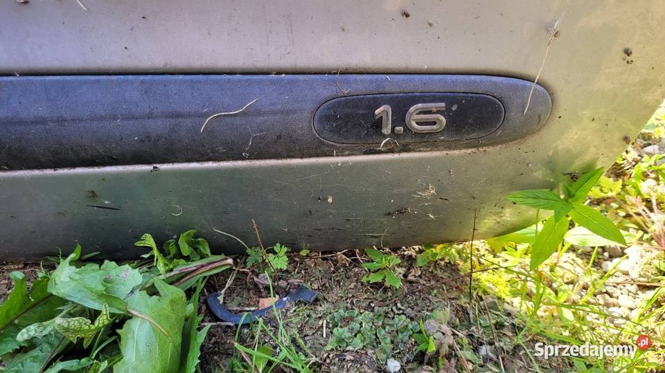 Drzwi Renault Megane I osobowe Drzwi mazowieckie Łagów