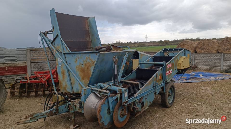 Kombajn do ziemniaków Bolko Z643 Chęciny