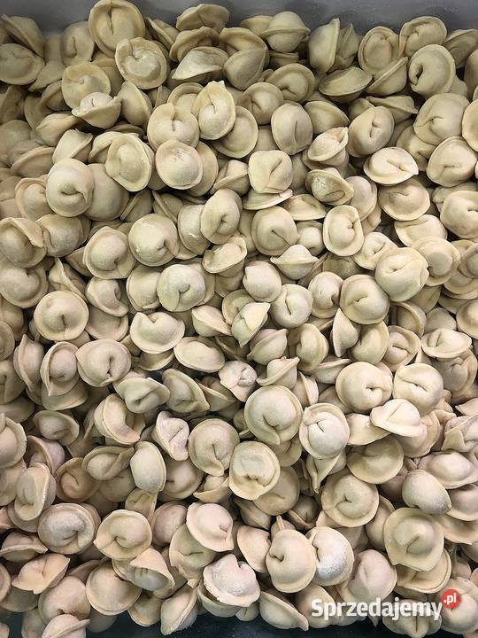 Pelmeni domowe Katowice sprzedam