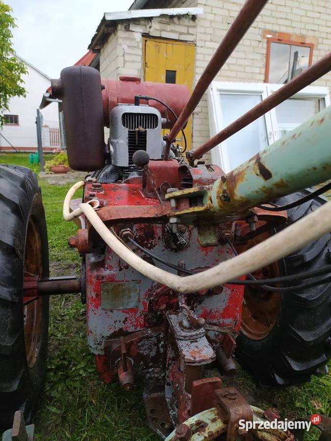Sprzedam ciagniczek dzika 21 dzika 2 Przeworsk sprzedam