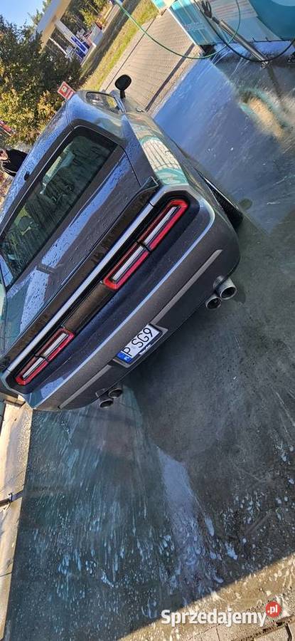 Dodge Challenger 36 Wieleń
