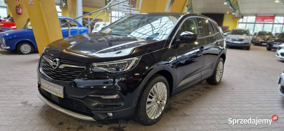 Opel Grandland X OPIS W PODANEJ ROCZNA GWARANCJA