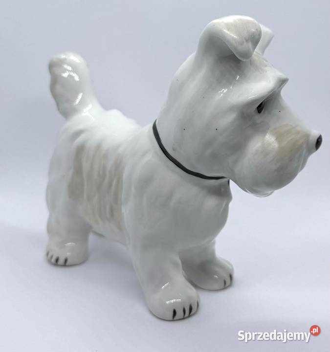 Figurka pies Terier Szkocki porcelana Alba IULIA Kraków