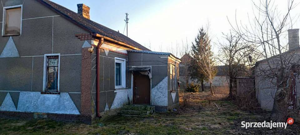 Sprzedam dom z siedliskiem i budynkami Jeżewo-Wesel sprzedam