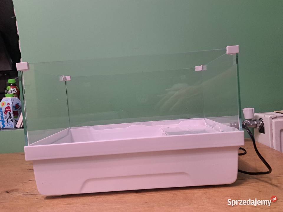 Akwaterrarium żółwia wodno lądowego Zakładanie terrariów i akwariów Trzebnica