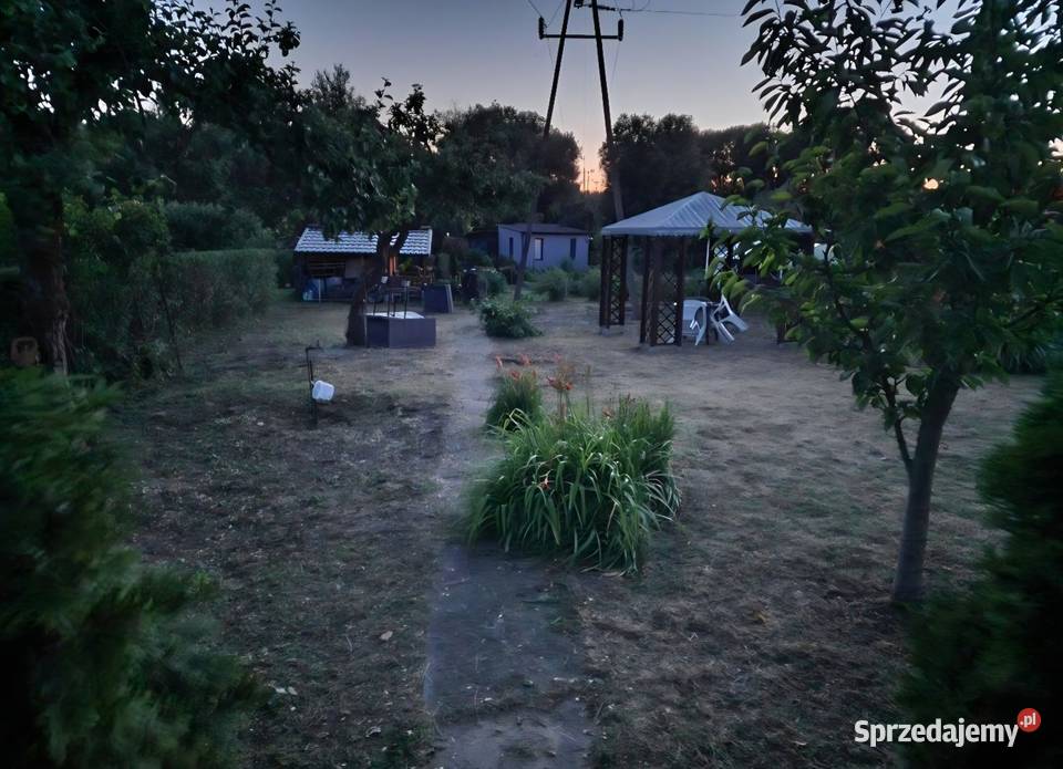 Koszenie trawy karczowanie zarośli wycinka drzew lubuskie prace ogrodowe