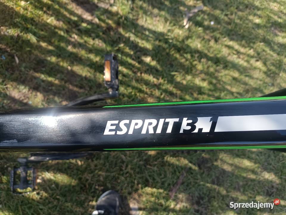 Rower górski Kross Esprit 31 Wilkowice