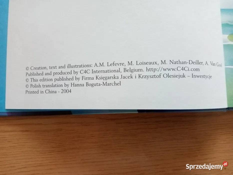 Mała Syrenka książka bogato ilustrowana Książki dla dzieci