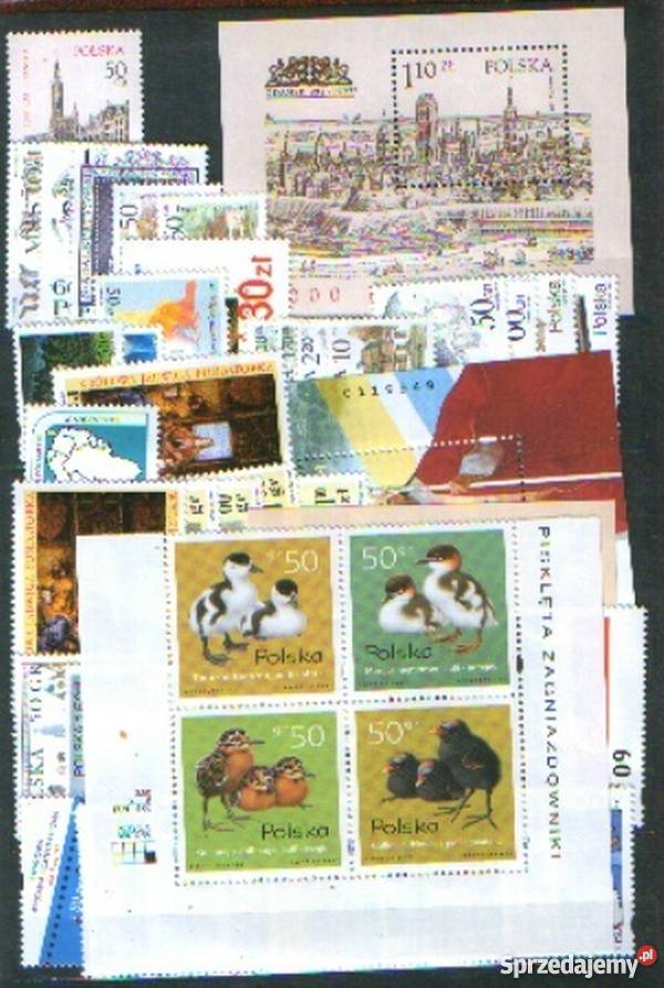 Zn Rocznik 1997 bez I kw Gliwice