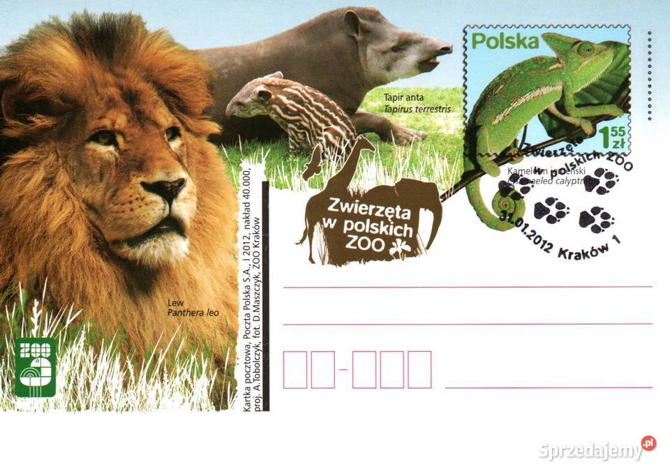Całostki karty pocztowe 2012r wielkopolskie Konin