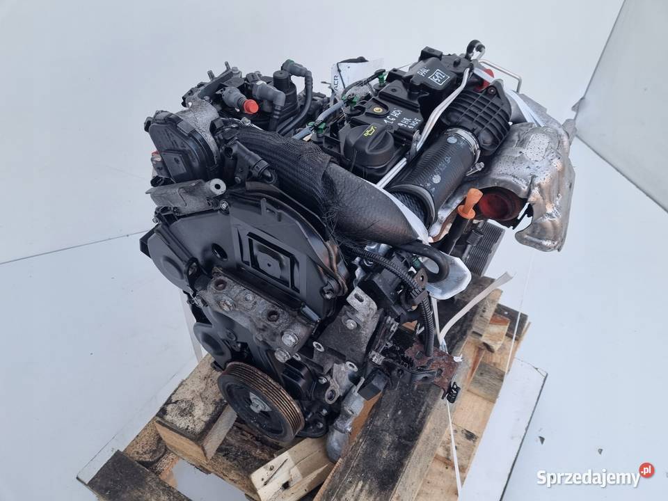 SILNIK KOMPLET Peugeot 206 206 206 14 BLUE HDI Rudka