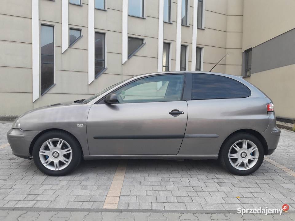 SEAT IBIZA III 19TDI 130 Car Audio Sony Magnat sprzedam