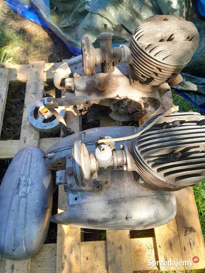 Silnik pannonia 2 sztuki Świerzawa