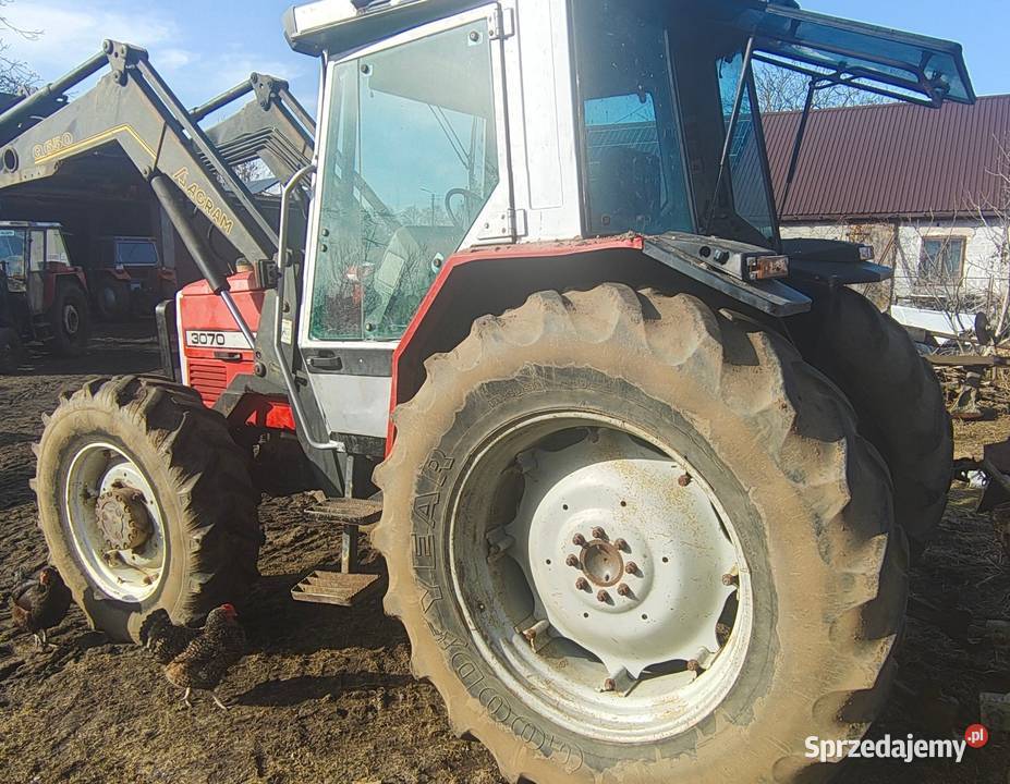 Massey Ferguson 3070 tur Agram Uniejów