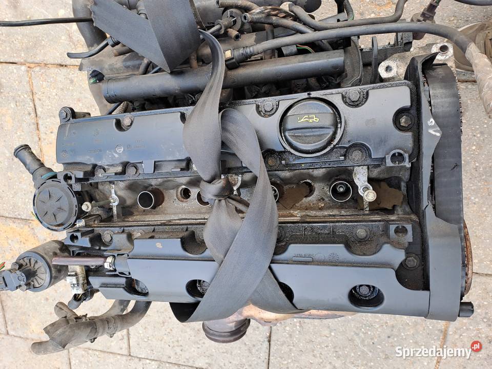 Citroen Xsara Picasso 18 16v 115 silnik Jastrzębie-Zdrój sprzedam