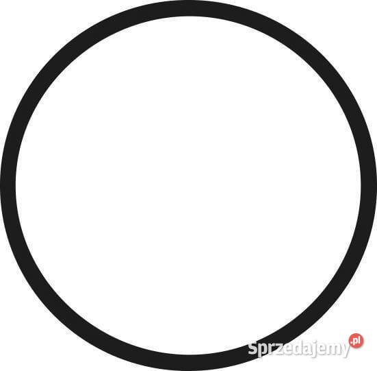 Pierścień uszczelniający oring 42 mm 920557026 Kamionna