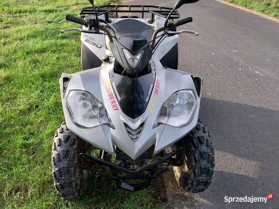 Quad eton 2502 Pozostałe Brodnica