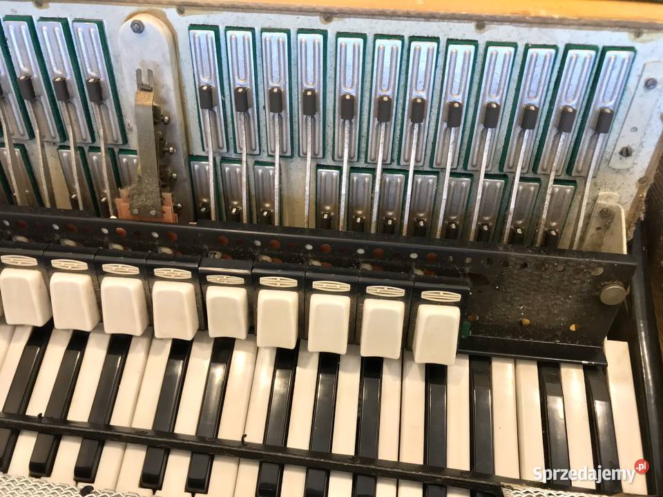 DELICIA Choral XIV AKORDEON 120 basów WALIZKA