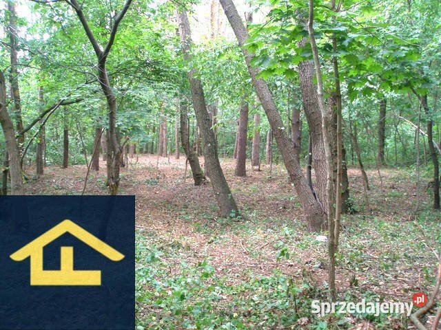 Działka leśna w Otwocku Otwock sprzedam
