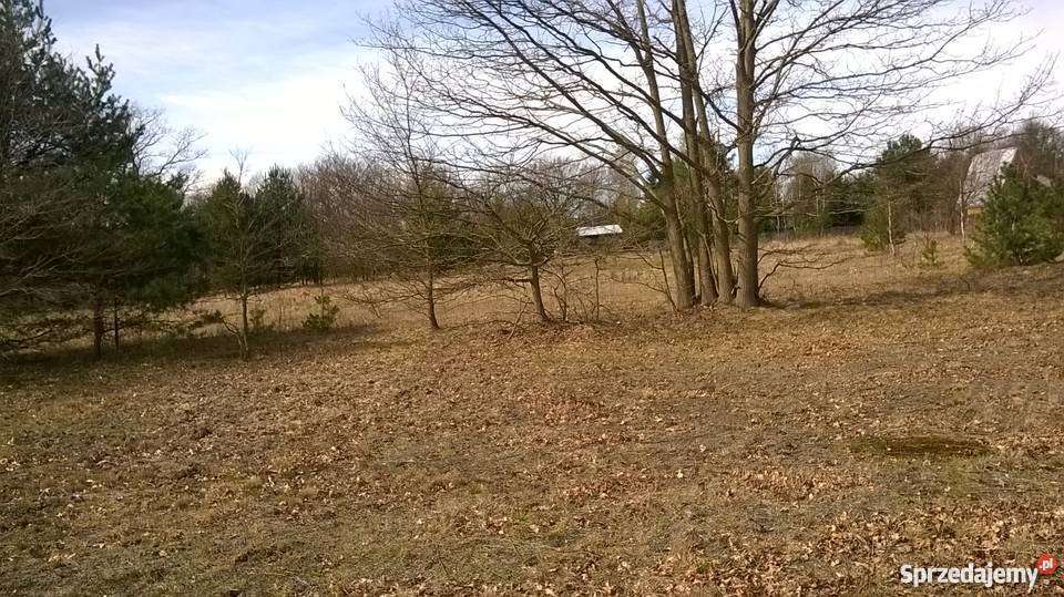działka zalewem zegrzyńskim Arciechów 2700m2 mazowieckie