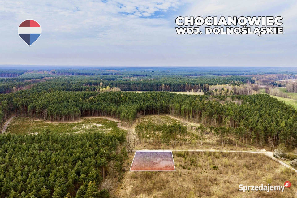 Działka budowlana w bezpośrednim sąsiedztwie Chocianowiec