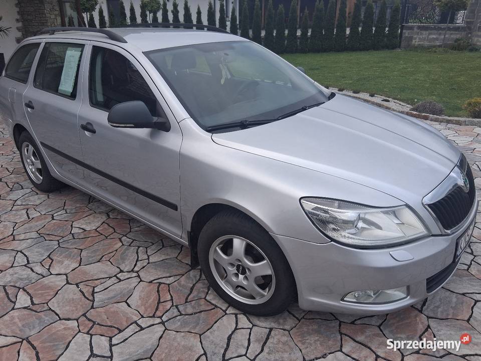 Skoda Octavia 2 19 TDI 105 Podegrodzie