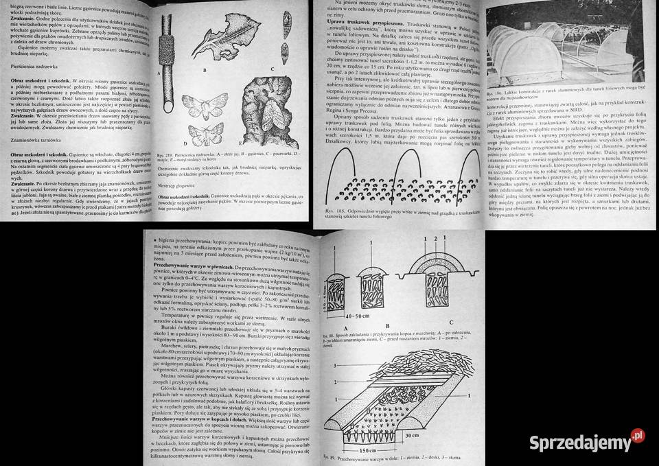 Działka moje hobby praca zbiorowa sprzedam