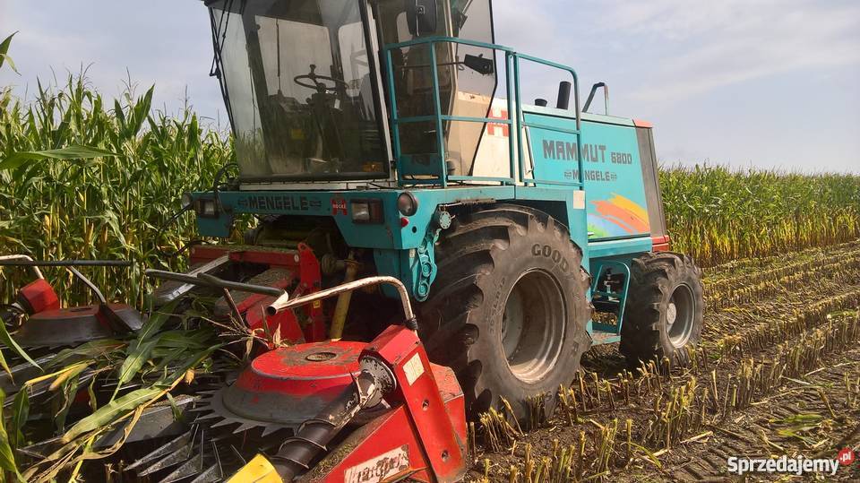 MENGELE MAMMUT 6800 KEMPER 4500 Kabina Mońki