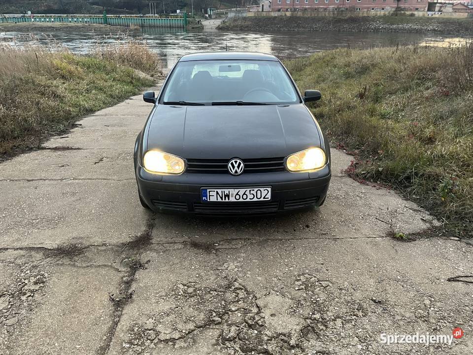 Vw golf4 16 nieuszkodzony Golf lubuskie