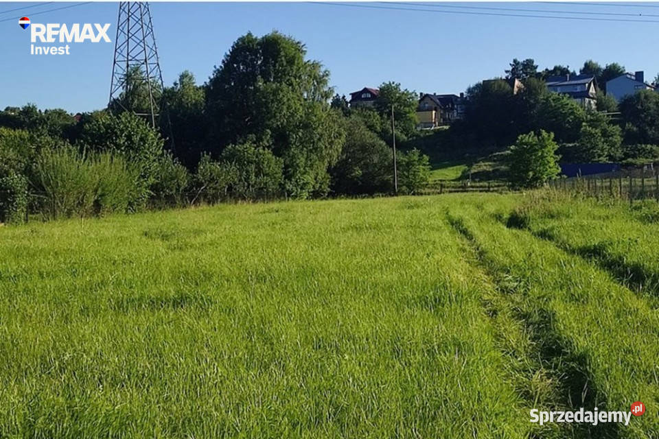 działka w Pietrzykowicach Sprzedaż Pietrzykowice