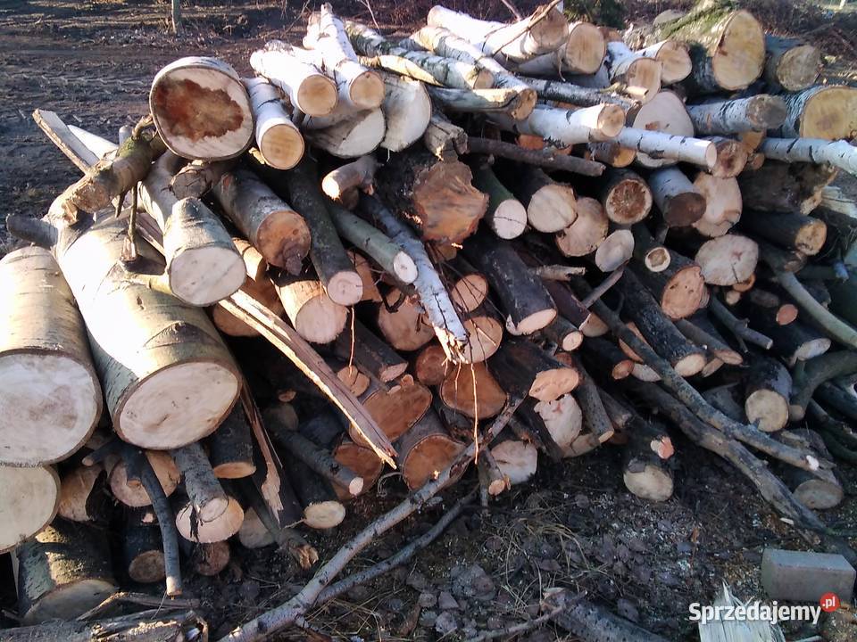 Drewno opałowe kominkowe liściaste dolnośląskie Żarów
