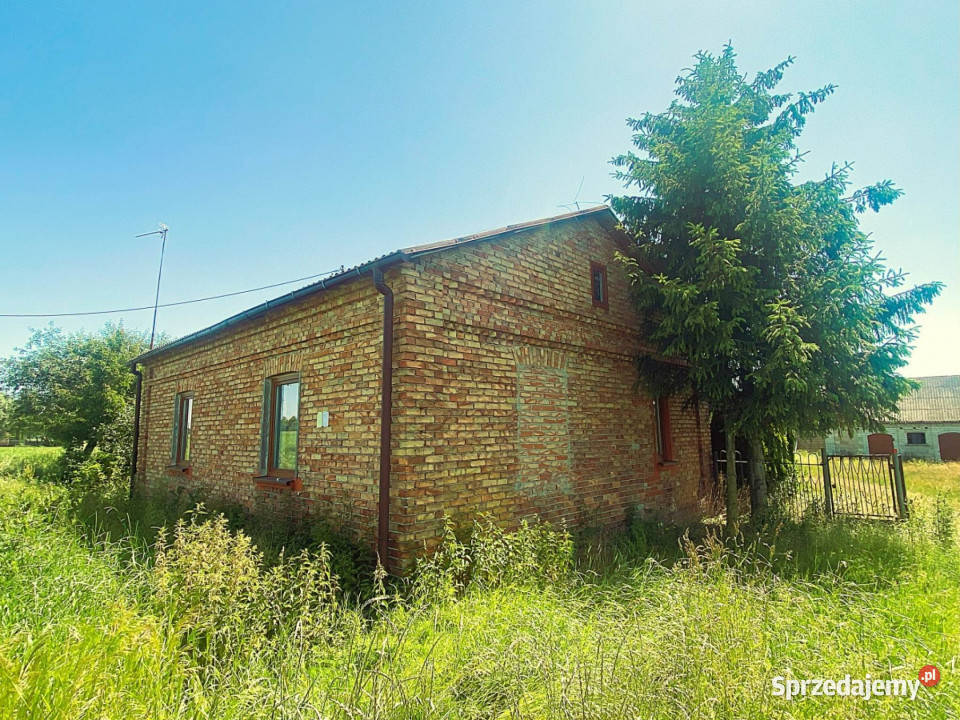 Siedlisko Nowe Sarnowo gmina Dzierzążnia 3414zł/m2 mazowieckie