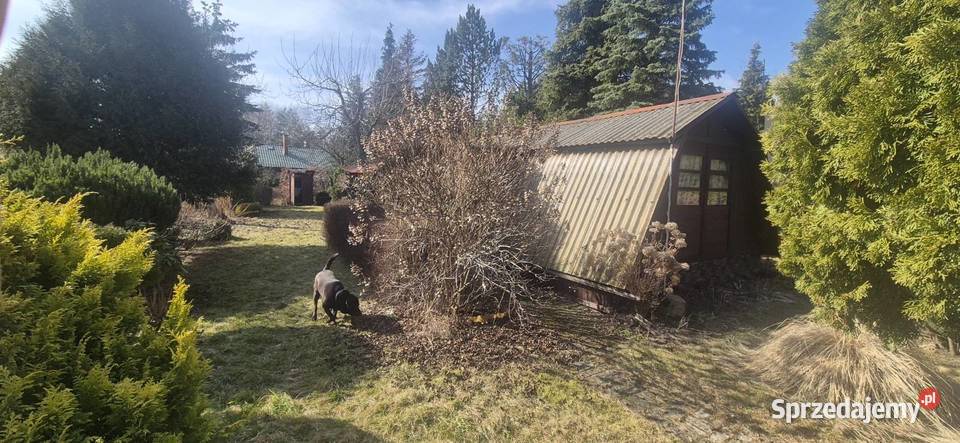 Działka WrzącaLutomiersk WŁASNOŚĆ ROD Lutomiersk