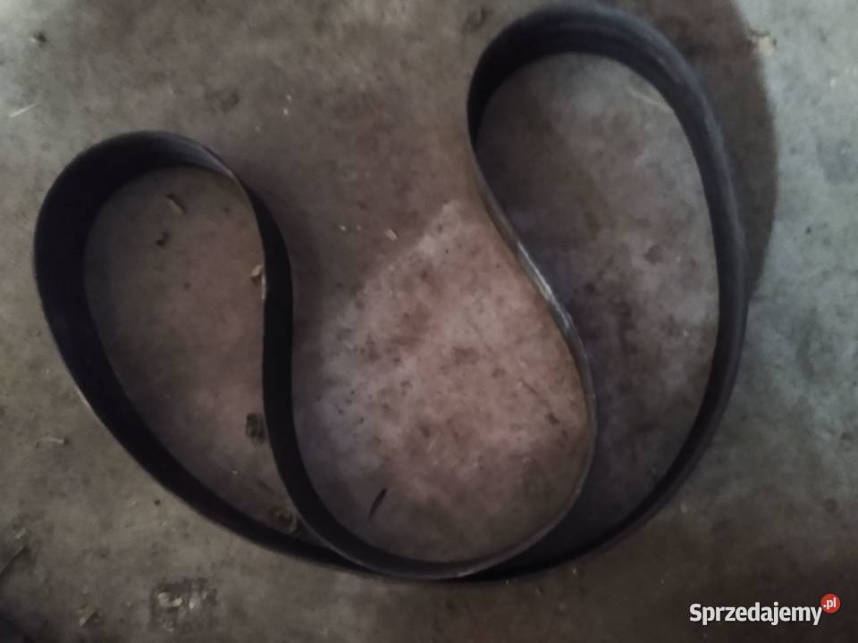 Pas płaski claas matador 6300250 Claas Strzegom