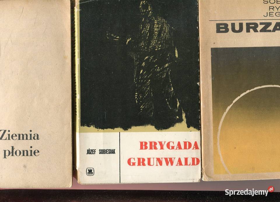 Burzany Brygada Grunwald Ziemia płonie Sobiesiak