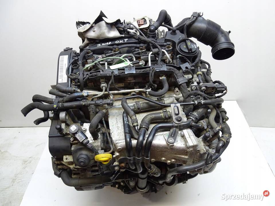 SILNIK DBK 16 TDI OCTAVIA III AUDI A3 8V Q2 LEON osobowe sprzedam